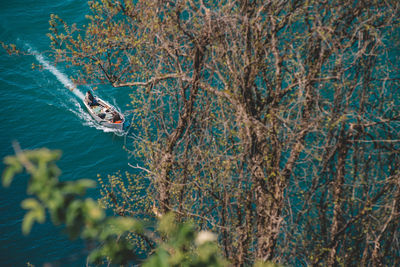 High angle view of a boat in sea