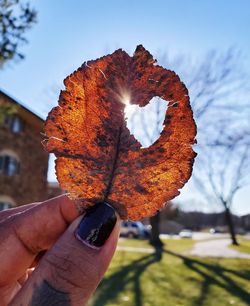 Close-up of hand holding maple leaf during autumn