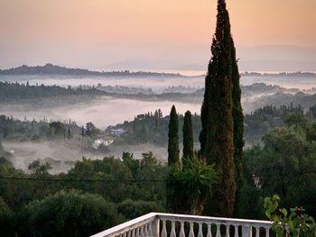 High angle view of trees on landscape against sky during sunset