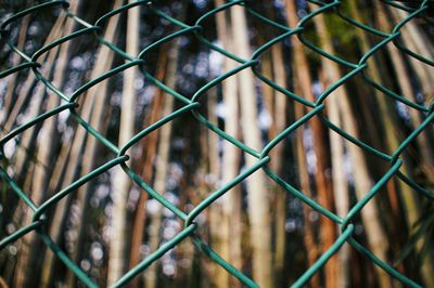 Close-up of chainlink fence