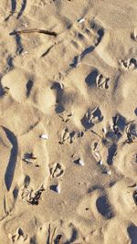 High angle view of footprints on sand