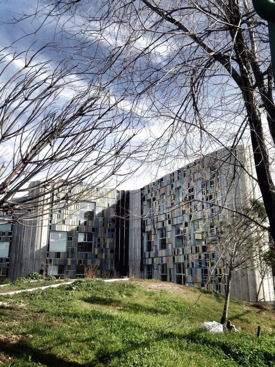 building exterior, architecture, built structure, bare tree, tree, grass, sky, house, residential building, residential structure, building, city, day, branch, field, abandoned, outdoors, no people, growth, old