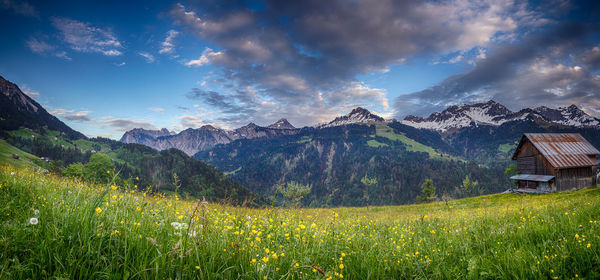 Scenic view of field against sky