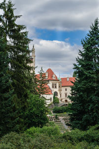 Trees and buildings against sky