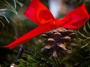 Close-up of christmas decoration