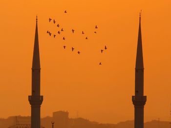 Silhouette of birds flying against orange sky
