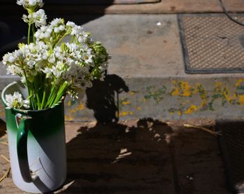 Close-up of flowers in jug