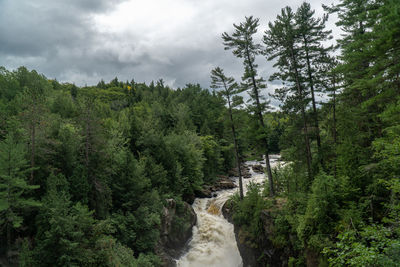 Scenic view of waterfall amidst trees in forest against sky