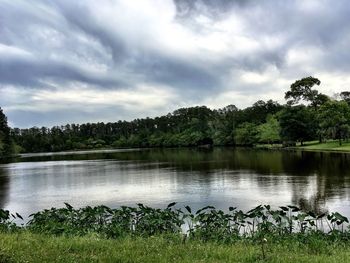 Scenic view of lake in forest against sky