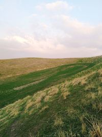 Scenic view of field against sky