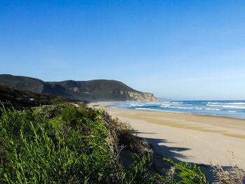 Scenic view of sea against clear blue sky