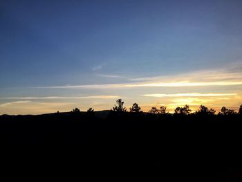 Silhouette trees on landscape against sky