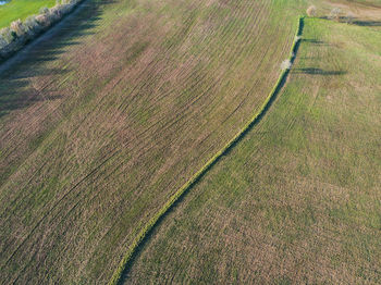 Aerial view. plowed field in the roman countryside.
