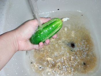 Cropped image of person holding food