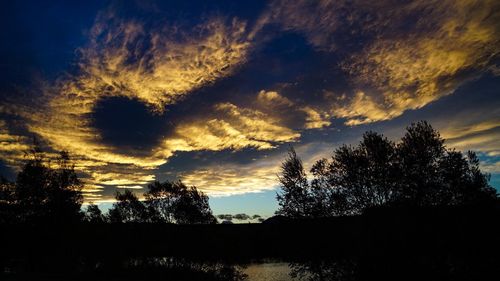 Silhouette trees against sky at sunset