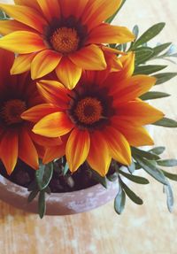 High angle view of gerbera daisy on table