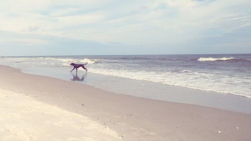 Man standing on beach against sky