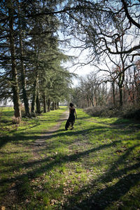 Rear view of woman walking on field amidst trees