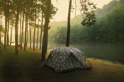 Holiday morning camping in the forrest  at pang ung maehongsorn thailand