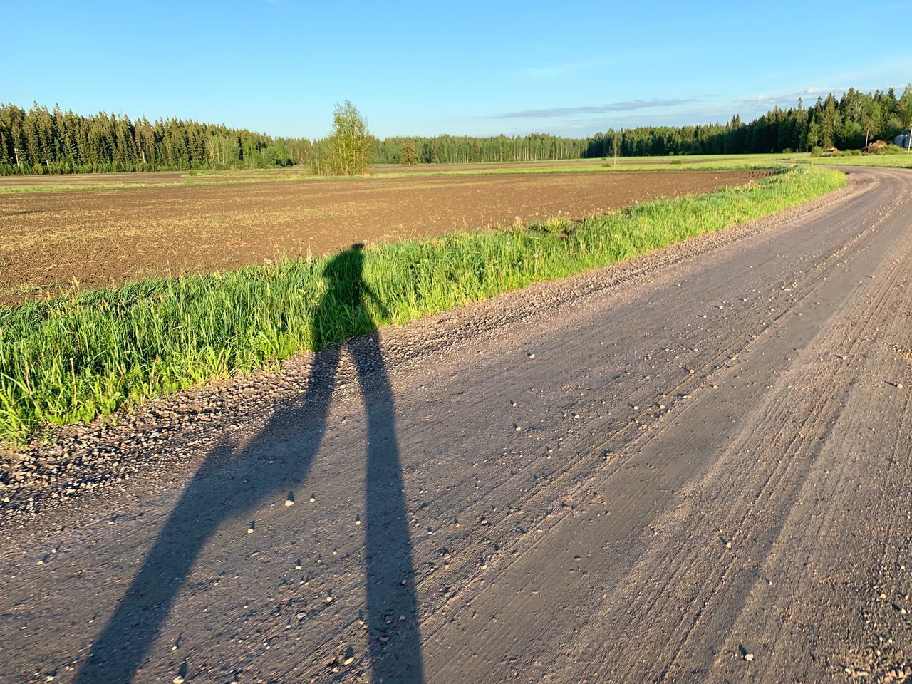 REAR VIEW OF PERSON WALKING ON ROAD AMIDST FIELD