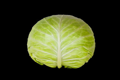 Close-up of green leaf against black background