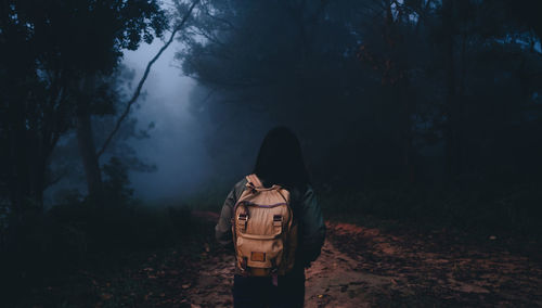 Rear view of woman standing by trees in forest