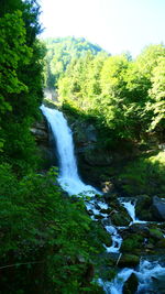 Scenic view of waterfall amidst trees in forest against sky