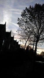Low angle view of bare trees against the sky
