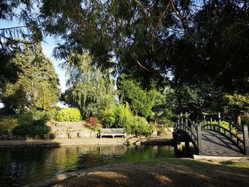 View of footbridge over trees in forest