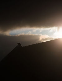 Low angle view of silhouette bird against sky