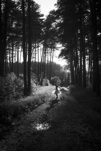 Rear view of man walking in forest