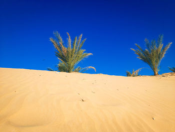 View of desert against clear blue sky