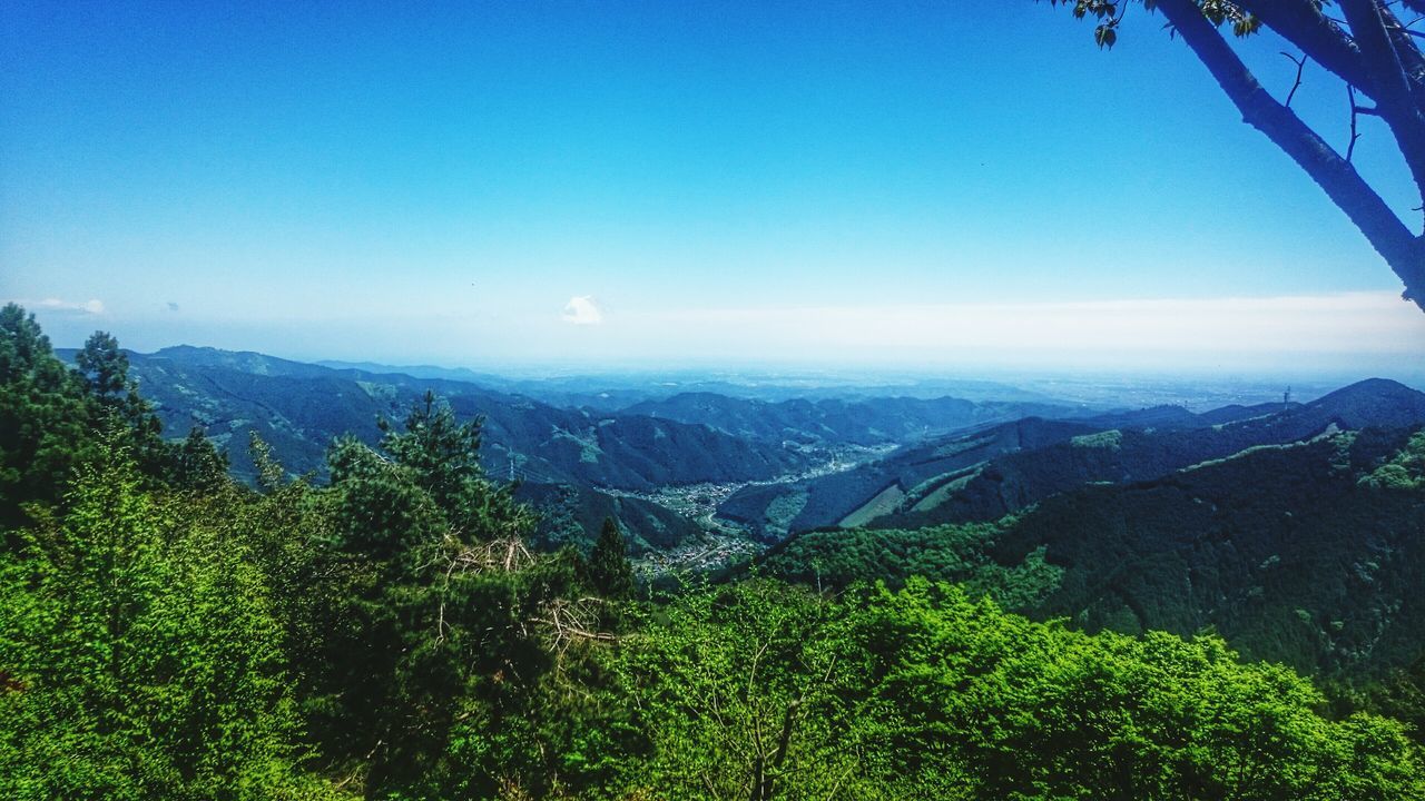 Mt.Mitake