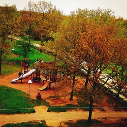 Trees in park during autumn