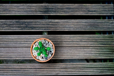 Directly above shot of potted plant on wooden table