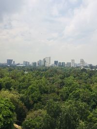 Trees and buildings in city against sky