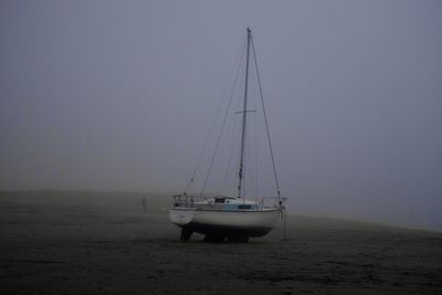 Sailboat sailing on sea against sky