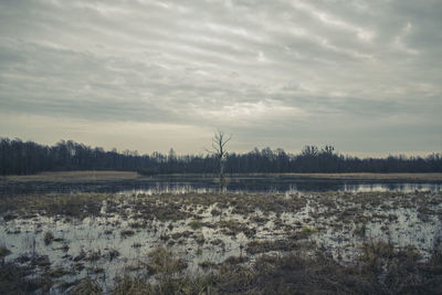 Scenic view of landscape against sky
