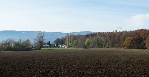 Scenic view of agricultural field against sky