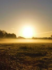 Scenic view of field against clear sky during sunset