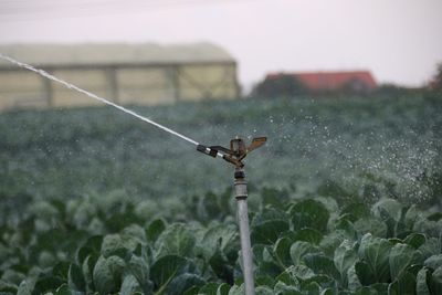 Close-up of irrigation equipment in  field