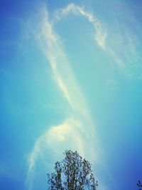 Low angle view of tree against blue sky