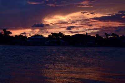 Silhouette of trees during sunset