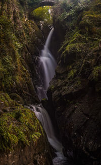 Scenic view of waterfall in forest