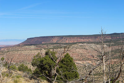 Scenic view of landscape against blue sky