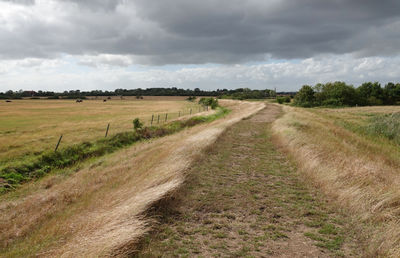 Dirt pathway along countryside landscape