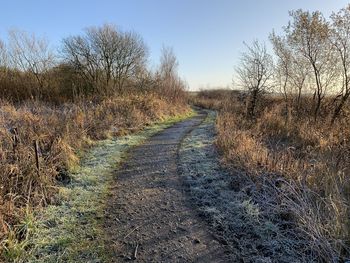 Road amidst field against sky