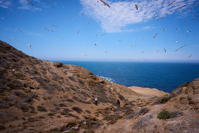 Flock of seagulls flying over rocky landscape by sea against sky