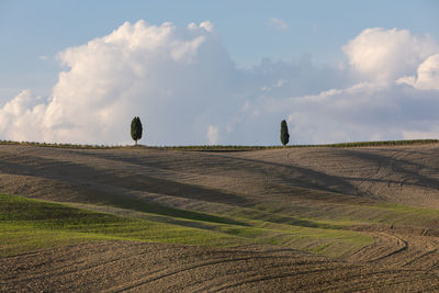 Scenic view of agricultural field against sky