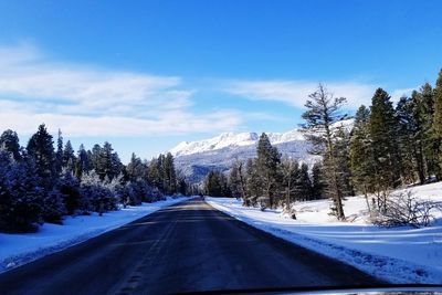 Snow covered road amidst trees against sky